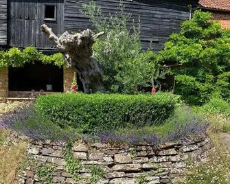 Mill House - Devon Holiday Accommodation - Sidmouth - Vista del exterior