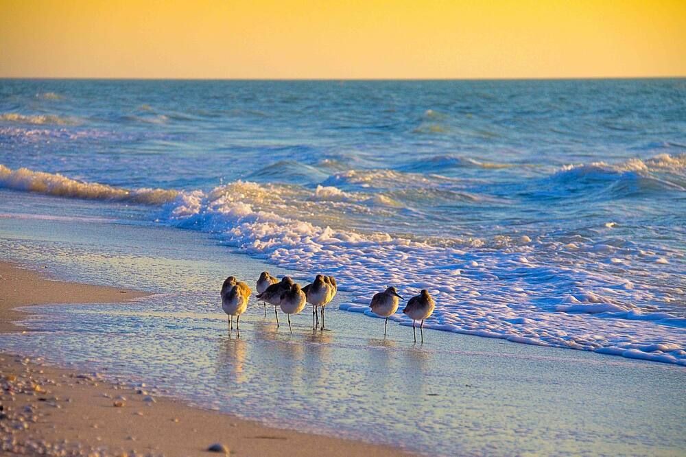Breathtaking Views - Romantic Honeymoon Suite - Jensen's 'On the Gulf' 4 - Captiva - Plage