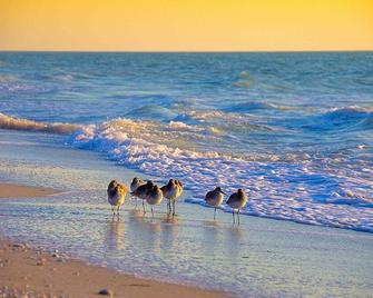 Breathtaking Views - Romantic Honeymoon Suite - Jensen's 'On the Gulf' 4 - Captiva - Beach