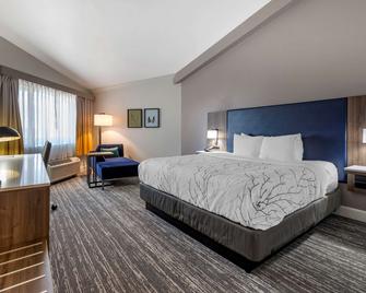 Best Western Premier Denver East - דנבר - חדר שינה