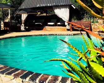 Aloe Guesthouse Klerksdorp - Klerksdorp - Pool