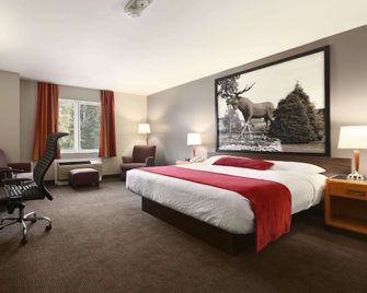 Super 8 by Wyndham North Bay - North Bay - Soveværelse