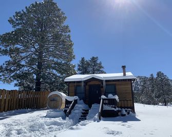 Tiny Mountain View Sauna Cabin on 1.5 acres in the Coconino National Forest - Flagstaff - Building