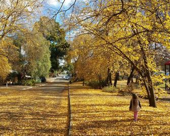 One bedroom cottage in the beautiful Clare Valley - Auburn