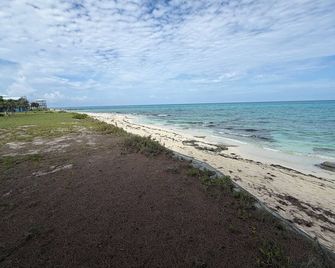 New Rental!!! Conch Heaven Is A Four Bedroom House On A Canal With A Dock. - Port Royal - Beach