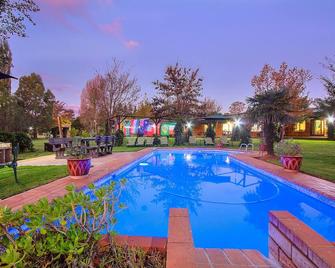 Airport Game Lodge - Kempton Park - Pool