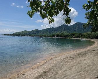 Mango Tree Inn - Gerokgak - Spiaggia