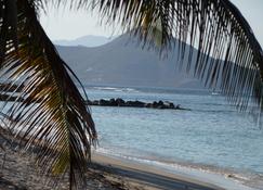 Detached Home-styled cottage on Nevis with spectacular view of the Caribbean Sea - Newcastle - Beach