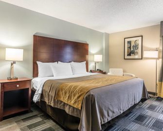 Comfort Inn Sw Omaha I-80 - Omaha - Habitación