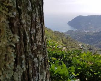 Santuario Ns Soviore Cinque Terre - Monterosso al Mare