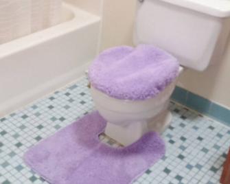 Cozy quiet place for short term or long term close to shopping areas. - Coraopolis