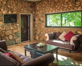 Riverstone chalet - Barouk - Living room