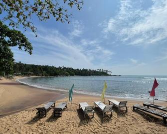 Surf Paradise - 坦加拉 - 海灘