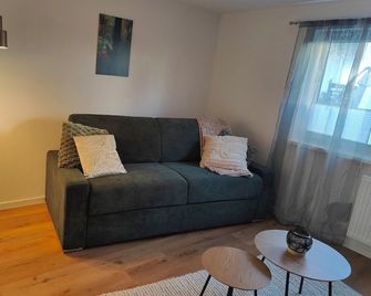 Modern apartment with sunny terrace near Europa-Park and the Black Forest. - Seelbach - Huiskamer