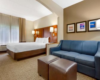 Comfort Suites Regency Park - Cary - Quarto