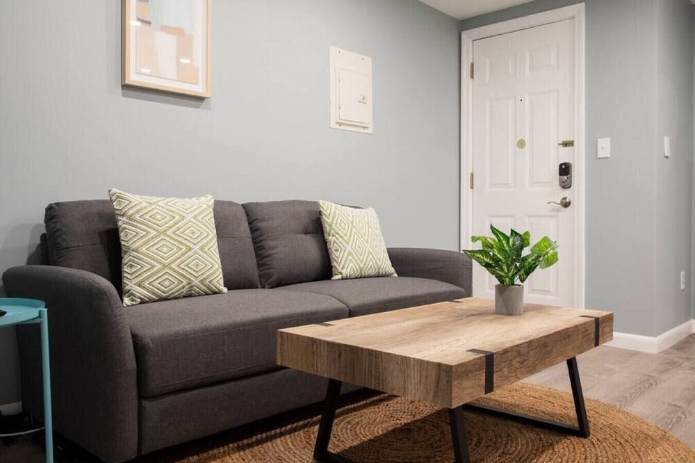 Wonderful Back Bay 1 Bed with Short walk to Fenway - بوسطن - غرفة معيشة