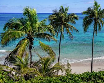 Secluded Cottage with Ocean-View Hot Tub near Poponi Beach, Palmetto Point, Eleuthera, Bahamas - North Palmetto Point - Playa
