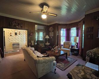 Old Hardy Town - Large Victorian-Style 4 Bedroom Home - Near Spring River - Hardy - Living room