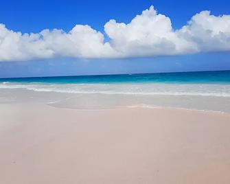 Coastal Chic - Cozy 2BR 3bd in charming Harbour Island Steps to Pink Sand Beach - Dunmore Town - Pláž