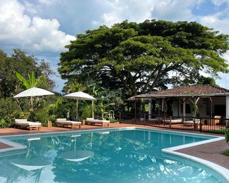 Muchosur Quimbaya - Quimbaya - Pool