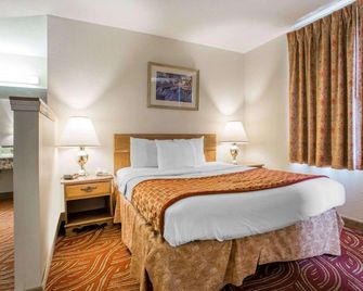 Econo Lodge Inn & Suites - Stevens Point