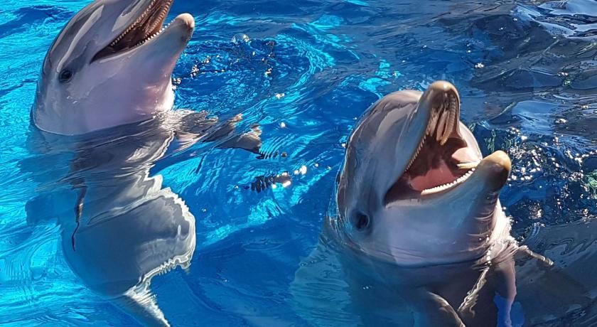 Other view of Green House