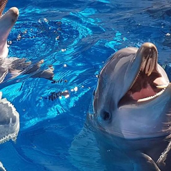 Other view of Green House