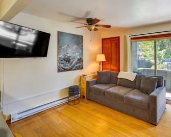 Cozy Ketchum Studio Walk to Skiing and Town - Ketchum - Living room