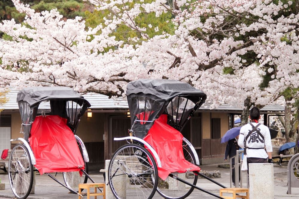 Other view of Hotel Pagong with M's