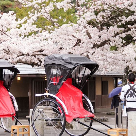 Other view of Hotel Pagong with M's