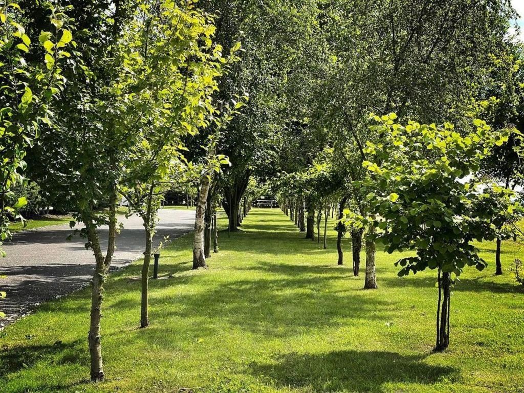 هاي فييلد فارم