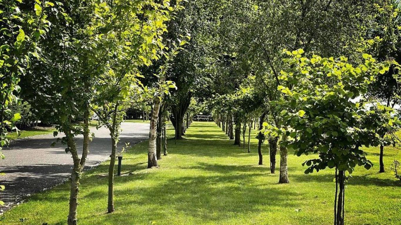 هاي فييلد فارم