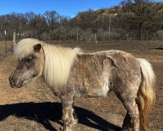 Cabin- 10 miles from Colorado Bend State Parkbr - Lometa