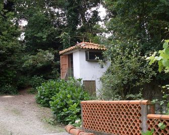 Casa do Moinho Rural campo e praia , 9 pessoas, animais benvindos - Espinho - Venkovní prostory