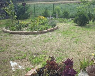 B&B Da Toni - Taglio di Po - Außenansicht