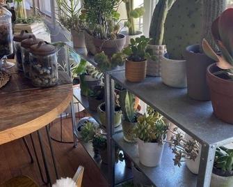 4 season Ski Chalet - Good Vibes Only - Highmount