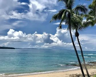 Mar Y Oro - Contadora - Strand