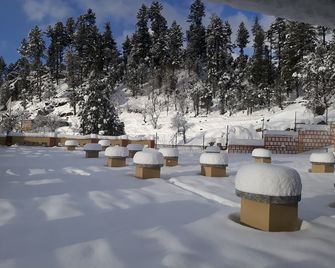 Crown Palace Hotel And Restaurant - Malam Jabba - Restaurant