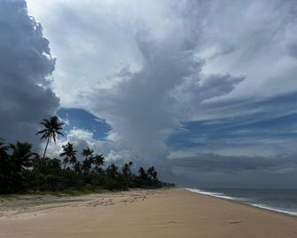 Dynast - The Abode of Art - Alappuzha - Beach