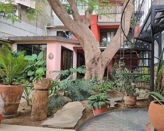 Casa del Árbol Xochimilco - Oaxaca