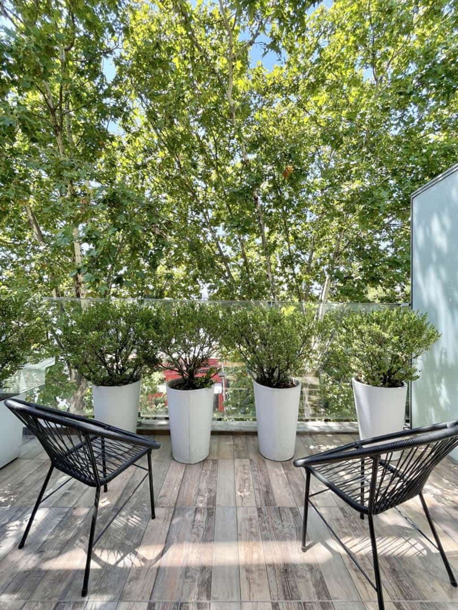 Ilum Experience Home