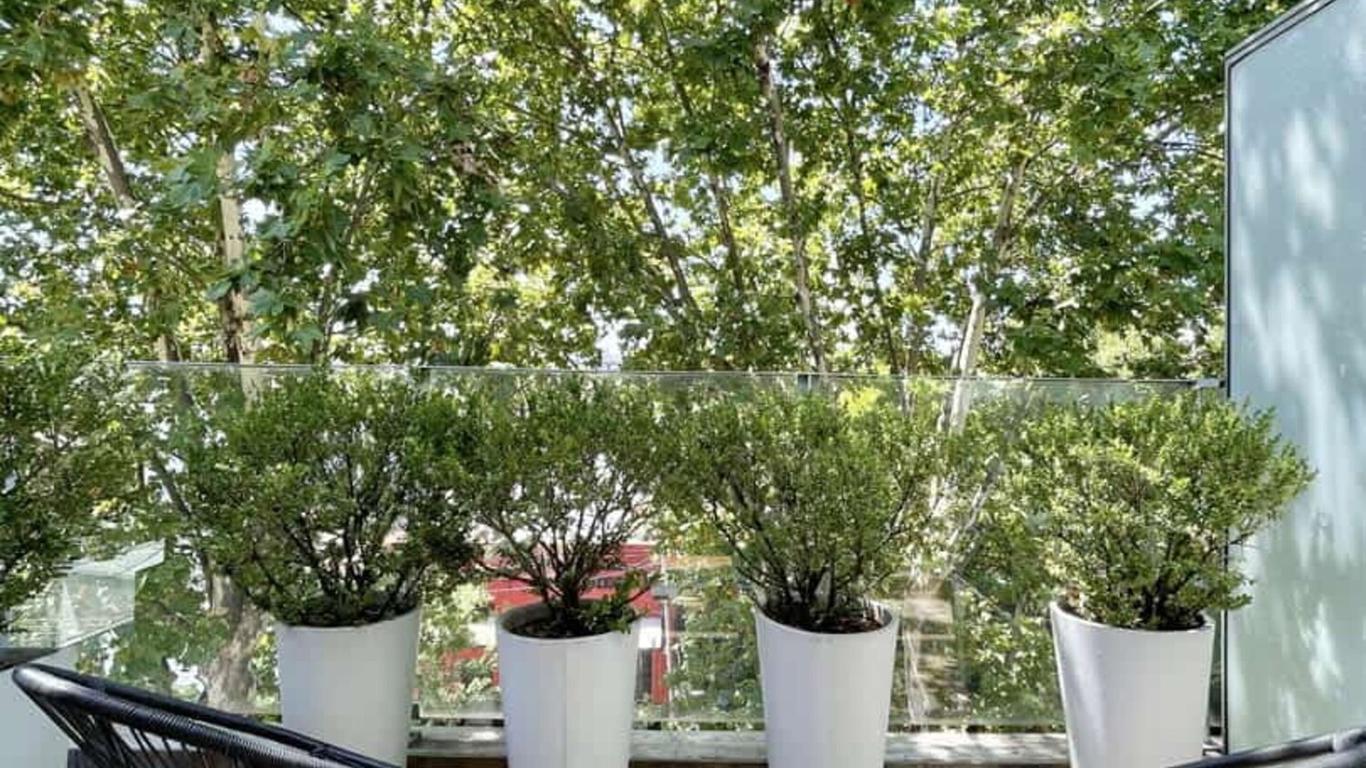 Ilum Experience Home