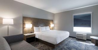Rodeway Inn & Suites near Outlet Mall - Asheville - Asheville - Bedroom