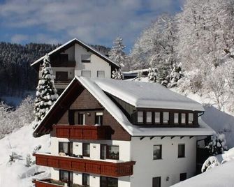 3 star apartment, sunny location facing south, marvellous view, winter sports - Bad Rippoldsau - Gebouw