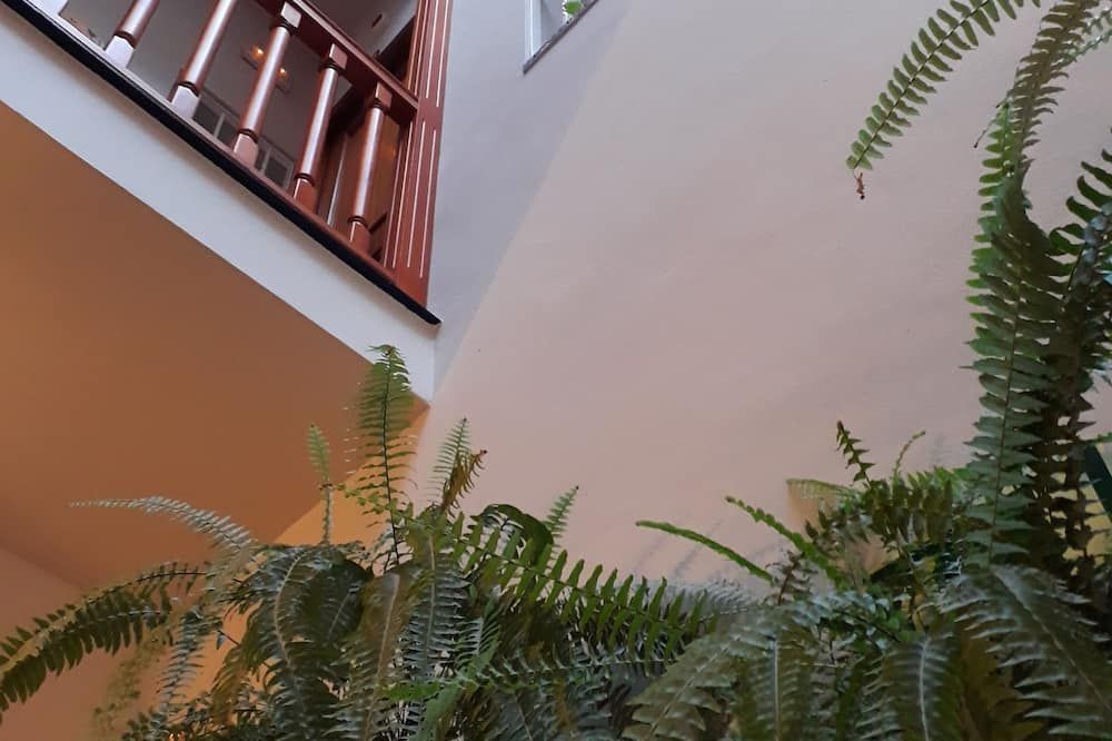 بنسيون دونيا ترينيداد