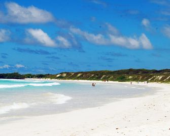 The Island Home - Puerto Ayora - Playa