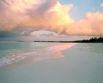 You'll LOVE this condo, our beach & crystal clear ocean! - Green Turtle Cay - Playa