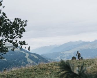 Residence Saalbach - Saalbach