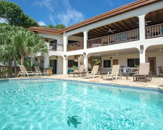 White Sandy Beaches and Ocean View in Tropical Setting. - Virgen Gorda - Piscina