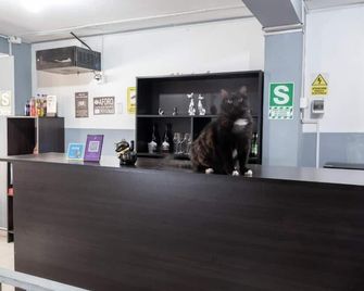 Hostal Paracas I - Ica - Recepción